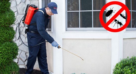 Arnavutköy Tahtakurusu İlaçlama böcek ilaçlama ve haşere kontrolü — ilaclama-tr.com